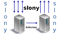 Slony